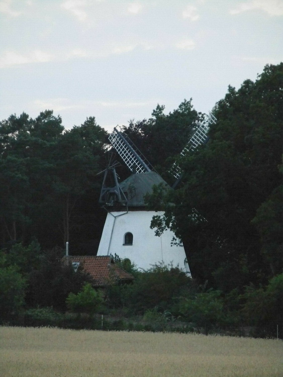 Photo: Mühle Asche in Neustadt am Rübenberge