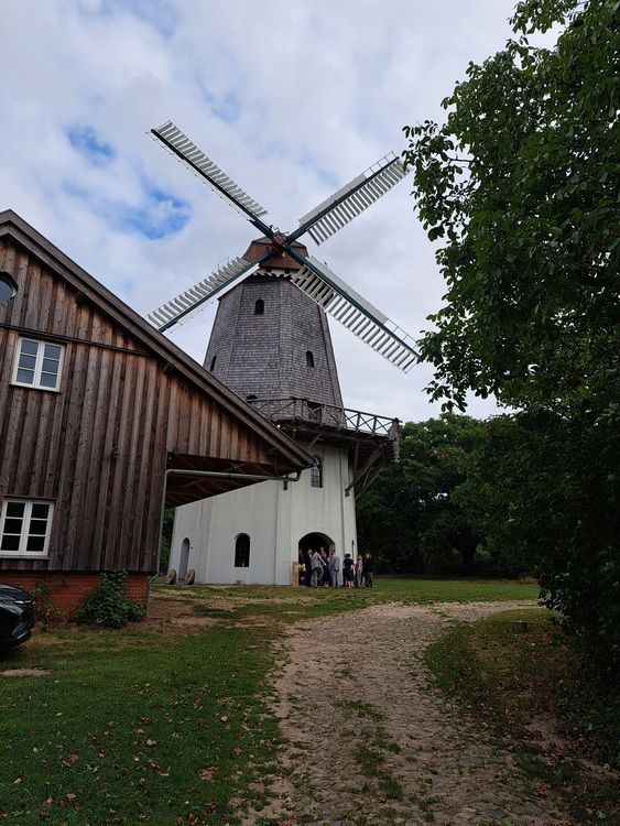 Photo: Galerieholländer Holtum-Geest in Kirchlinteln