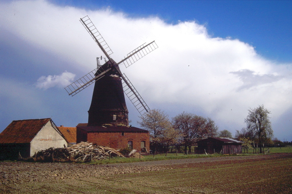 Photo: Windmühle Albringhausen in Bassum
