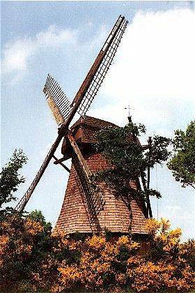 Photo: Windmühle Gehlenberg in Friesoythe