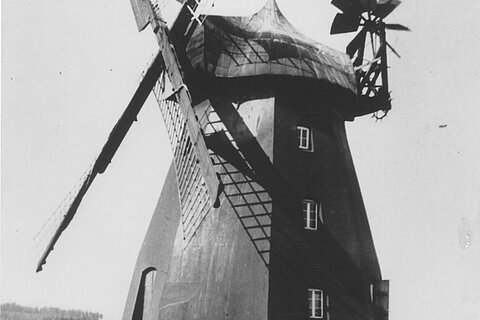 Windmühle Wardböhmen  